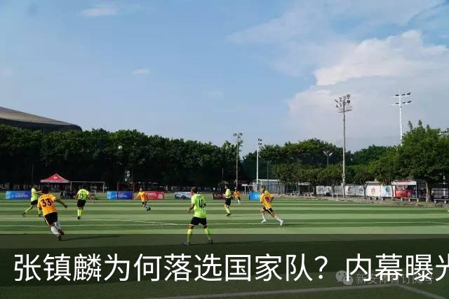 张镇麟为何落选国家队？内幕曝光，叫人心疼，郭士强并没放弃他